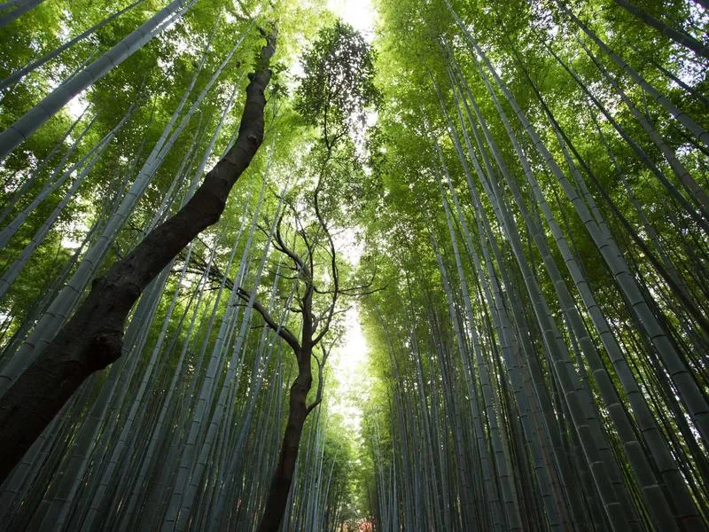 Albergue de O Cádavo in O Cádavo Baleira