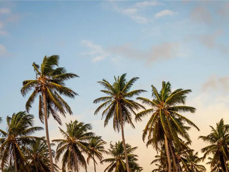 Albergue de Peregrinos de Tineo in Tineo