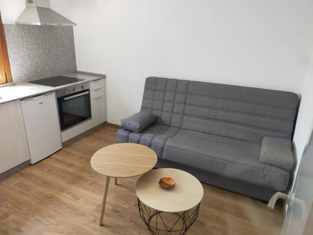 Apartamentos Centro Uso Turístico in Arzua