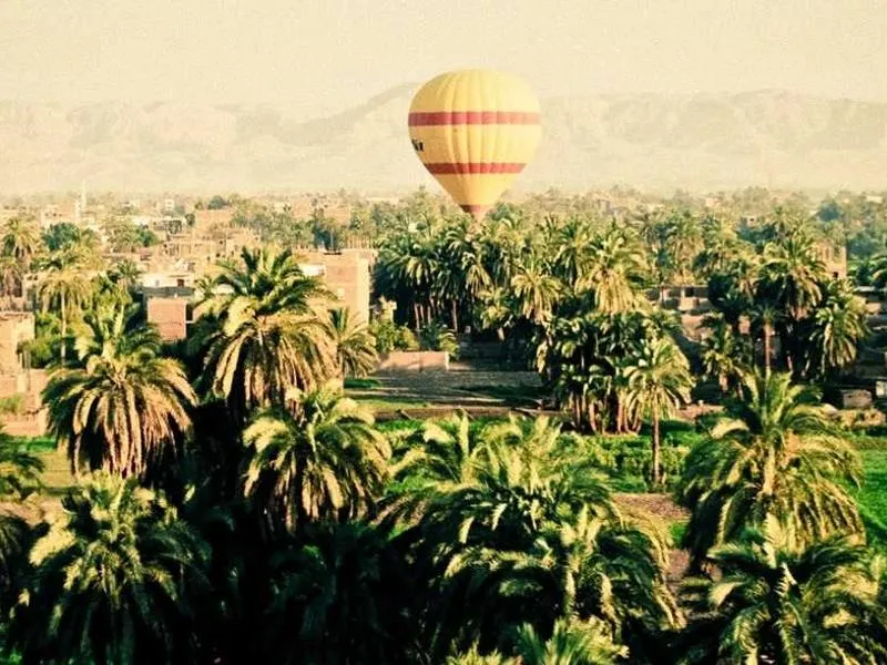 Arriving in Santiago: What to Do After the Camino