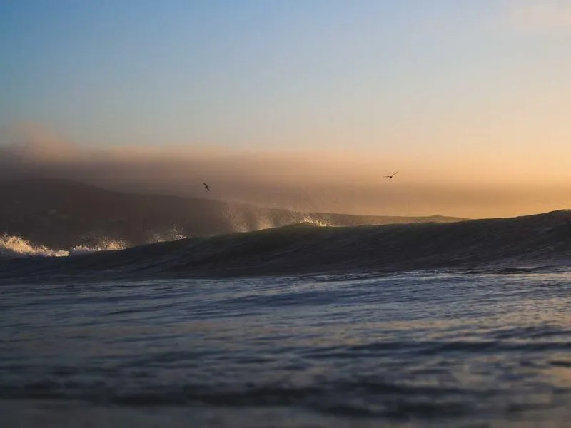 Avoid the Worst Stretch: Hidden Camino Route + Logistics Pack