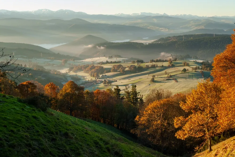Salas – Tineo