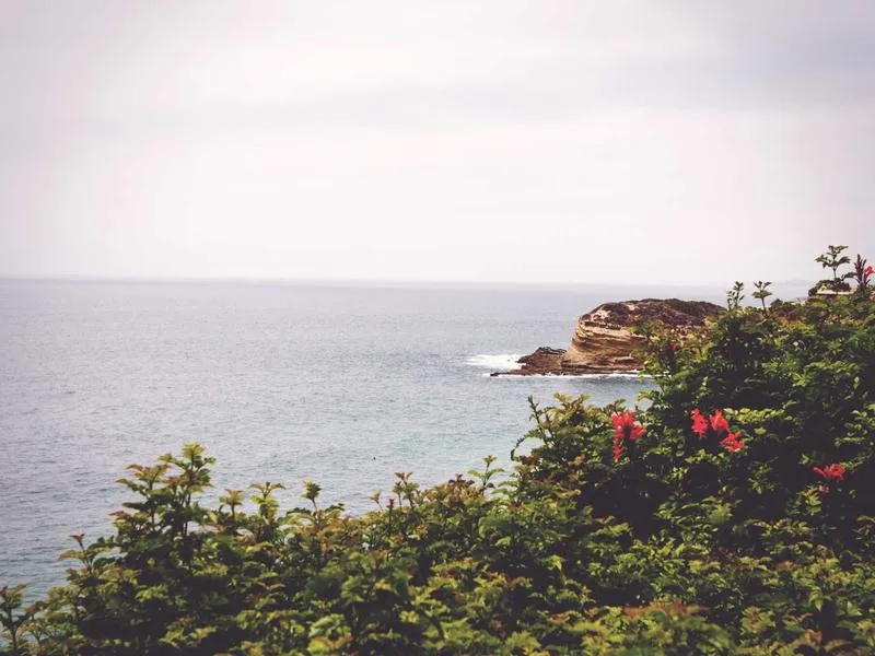 O Cádavo Baleira – Lugo