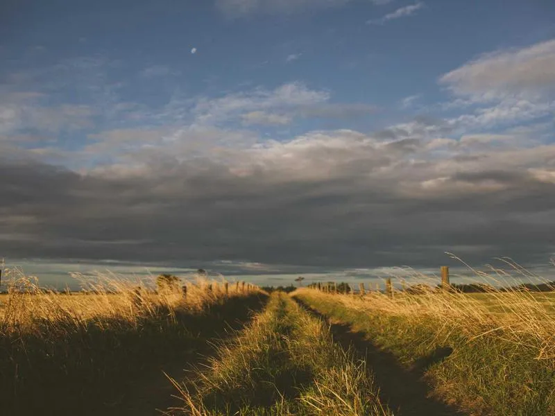 Bar O Peregrino — Bar