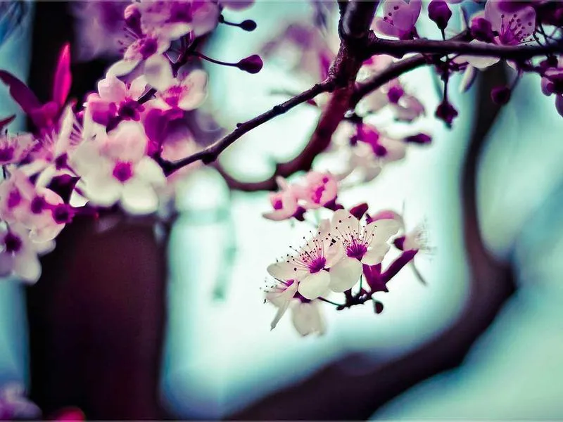 Bar Porta Santa — Bar