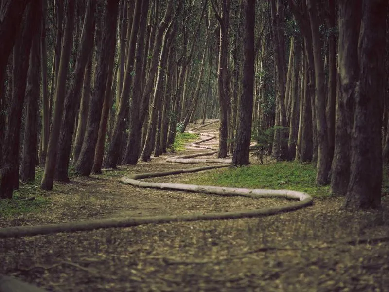 Collegiate Church of Santa Maria la Mayor — Church