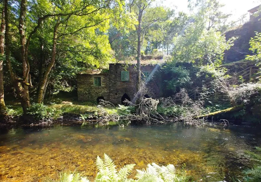 A Cortevella Recreational Area — Nature