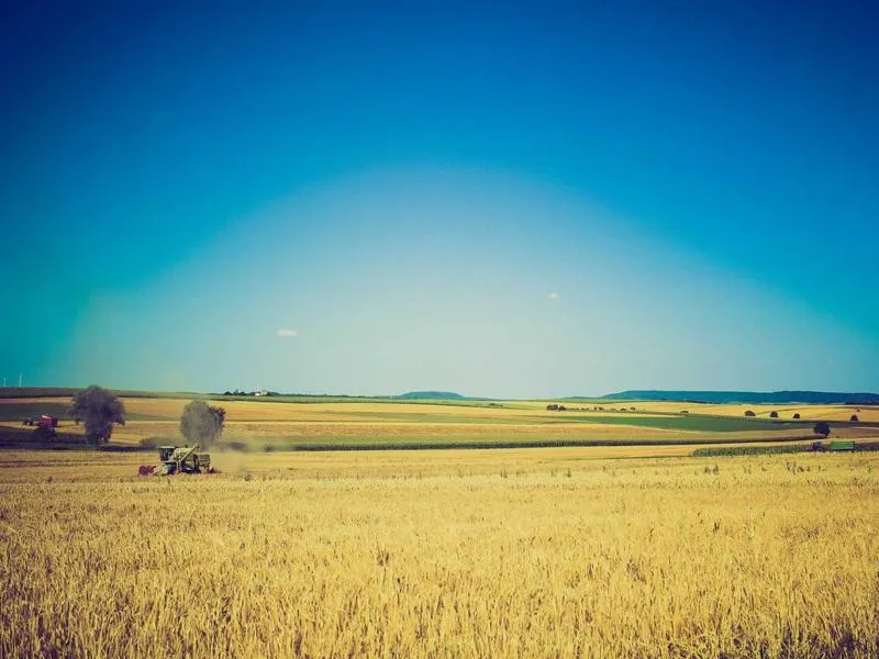 Mesón de Alberto — Restaurant
