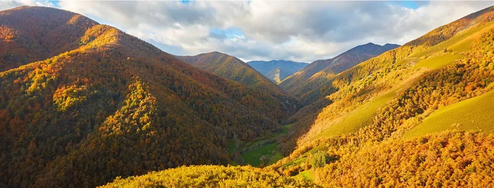 Muniellos Forest (Reserva Natural Integral) — Nature