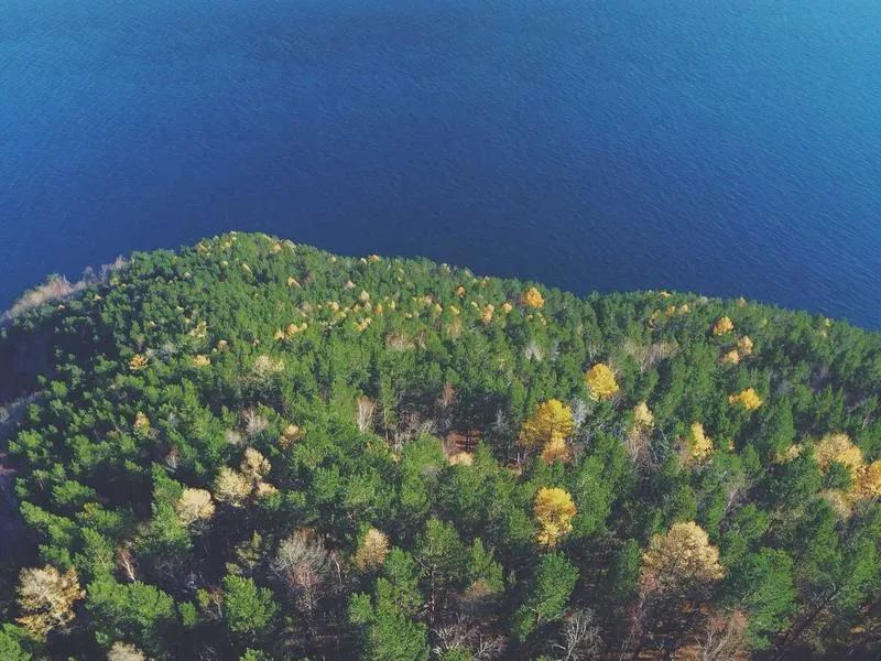 Restaurante O Descanso — Restaurant