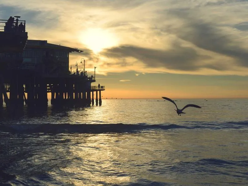 Salime Reservoir — Nature