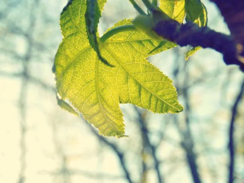 San Salvador Cathedral — Church