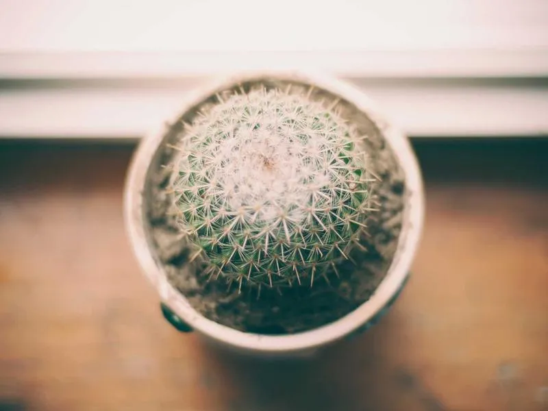 Tower of Valdés-Salas — Monument