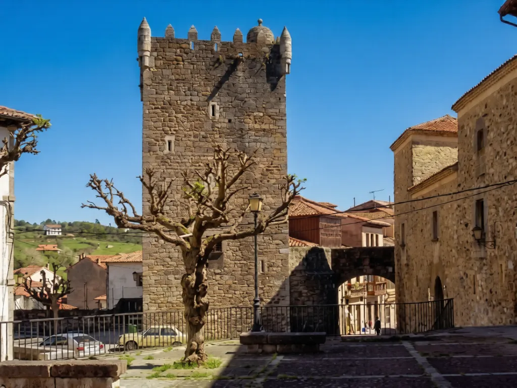 Valdés-Salas Tower & Pre-Romanesque Museum — Museum
